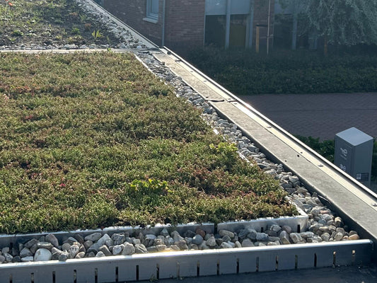 Aluminium scheidingsprofiel groendak – 200 cm | Strakke afwerking