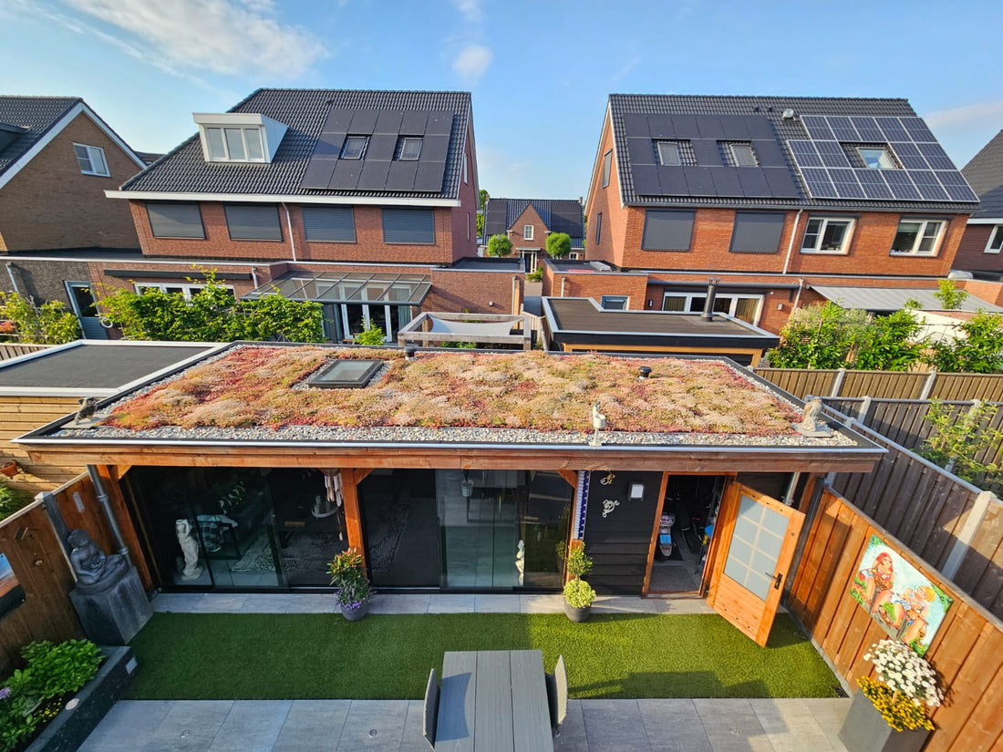 Is mijn dak geschikt voor een groendak?