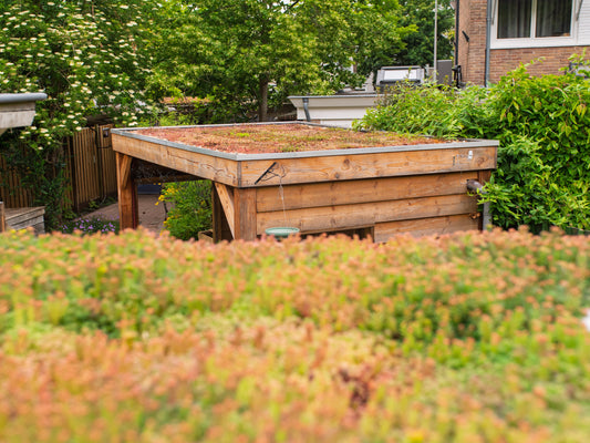 Wat kost een groendak per m²?