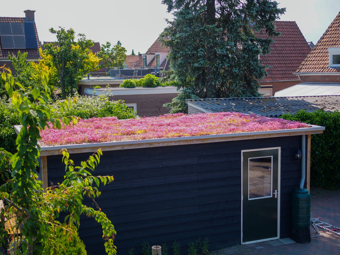 Subsidie voor een groendak: zo werkt het