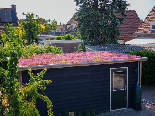 Subsidie voor een groendak: zo werkt het