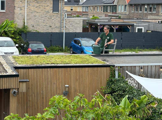 Sedum-kruidendak op berging – Zuid-Scharwoude (6 m²)