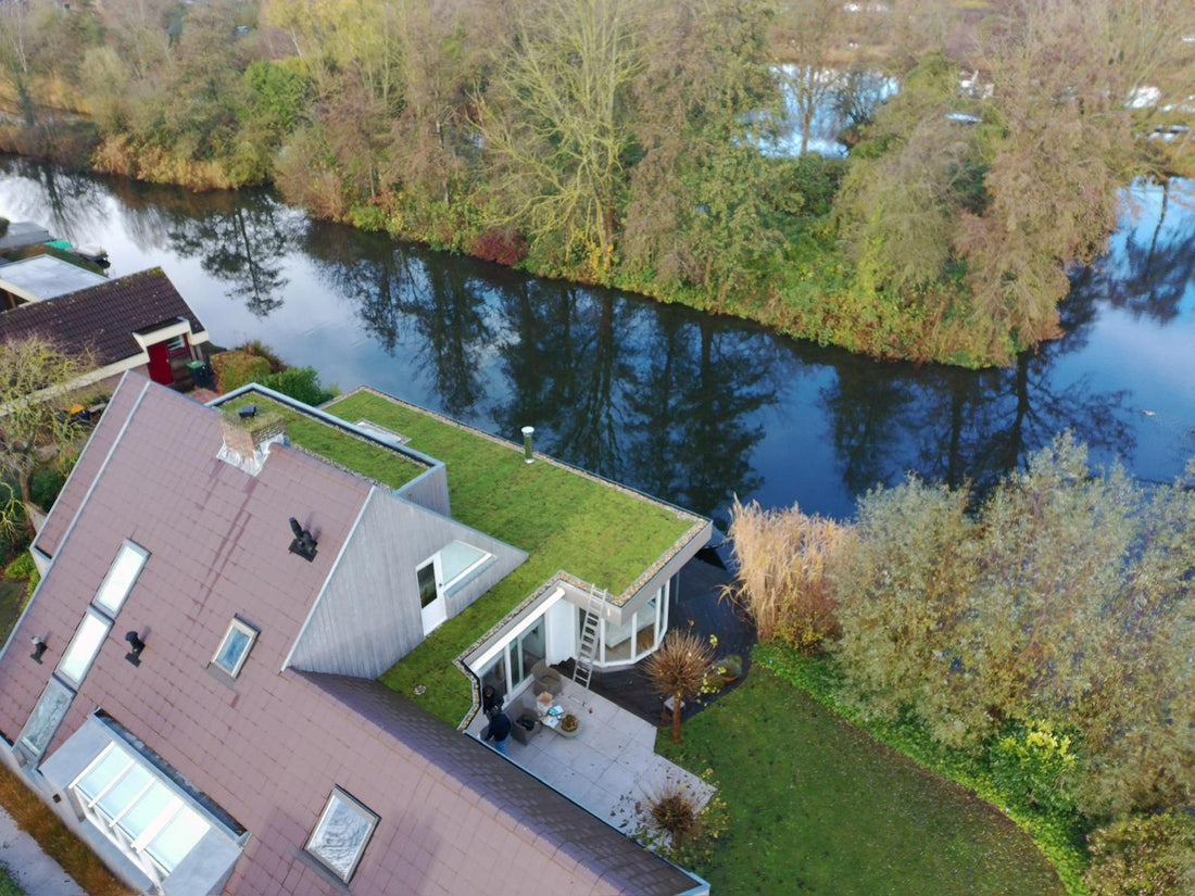 5 voordelen van een groendak: duurzaam, slim én goed voor je woning