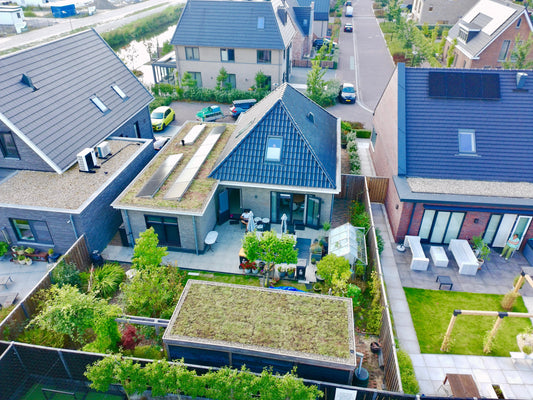 Sedumdak op veranda & Sedum-Kruidendak op uibouw - Heerhugowaard (65 m²)