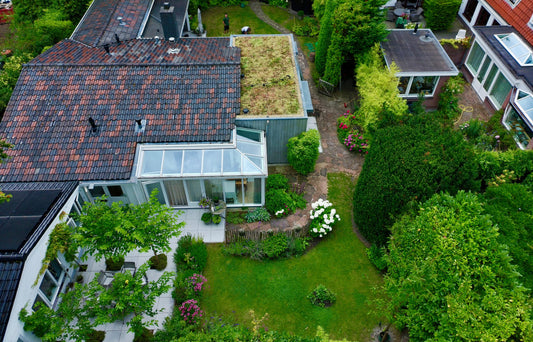 Sedum-kruidendak – Bergen (25 m²)