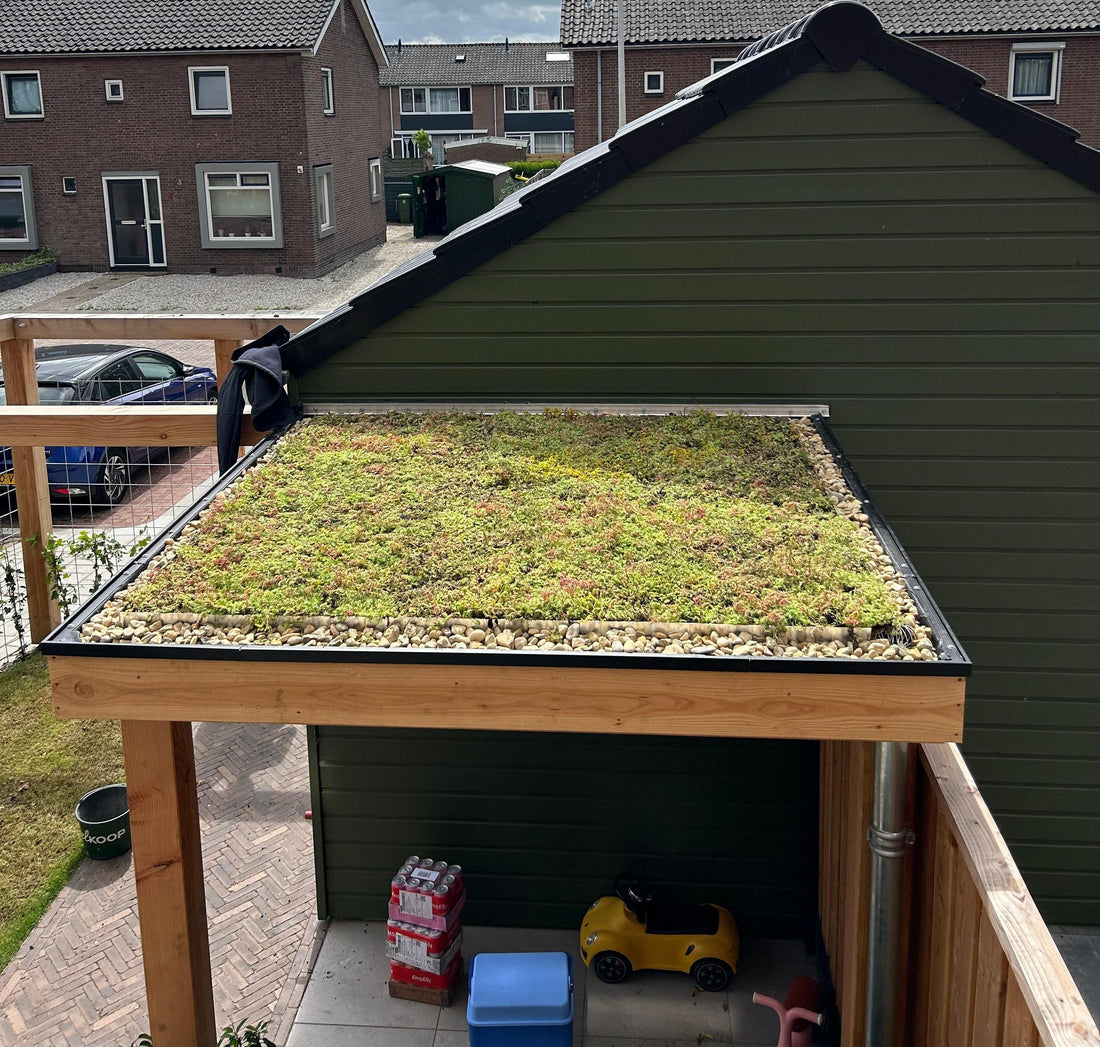 Lichtgewicht groendak op overkapping - Aarlanderveen (6 m²)