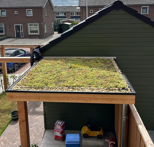 Lichtgewicht groendak op overkapping - Aarlanderveen (6 m²)