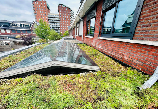 Sedum-kruidendak op uitbouw - Beverwijk (18 m²)