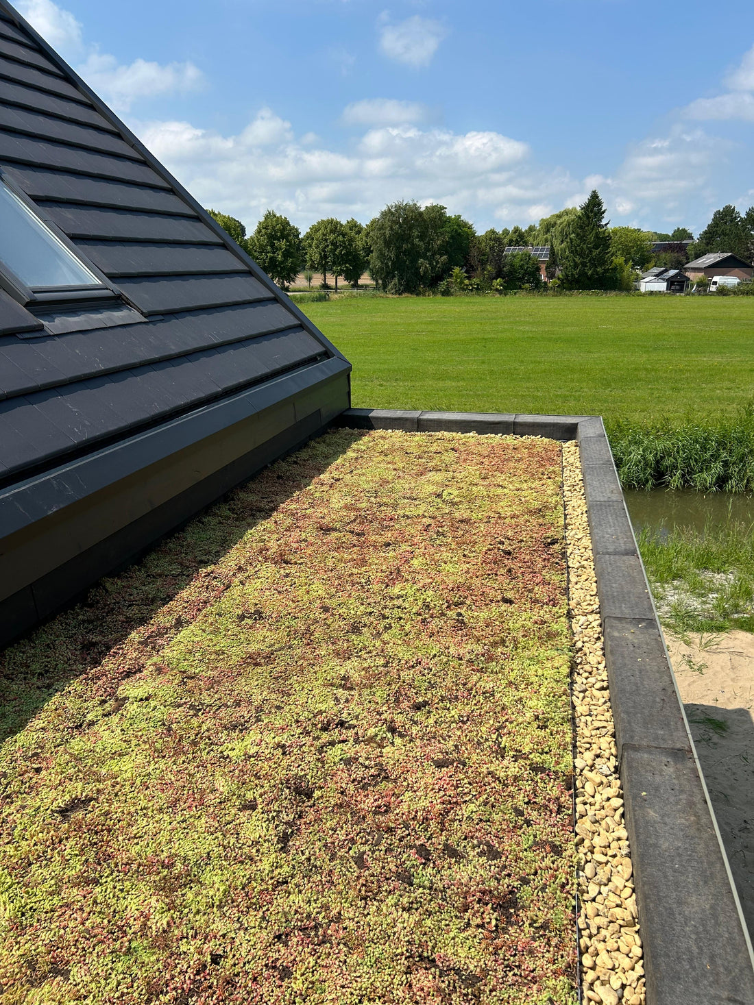 Lichtgewicht groendak op aanbouw - Waarland (18 m²)