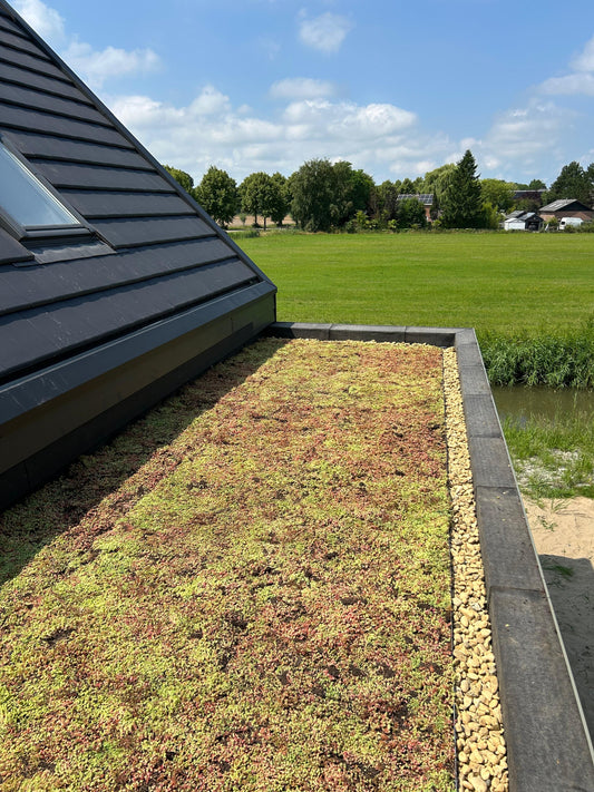 Lichtgewicht groendak op aanbouw - Waarland (18 m²)