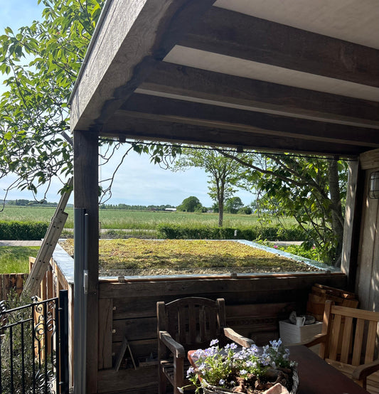 Sedum-kruidendak op berging - Warmenhuizen (16 m²)