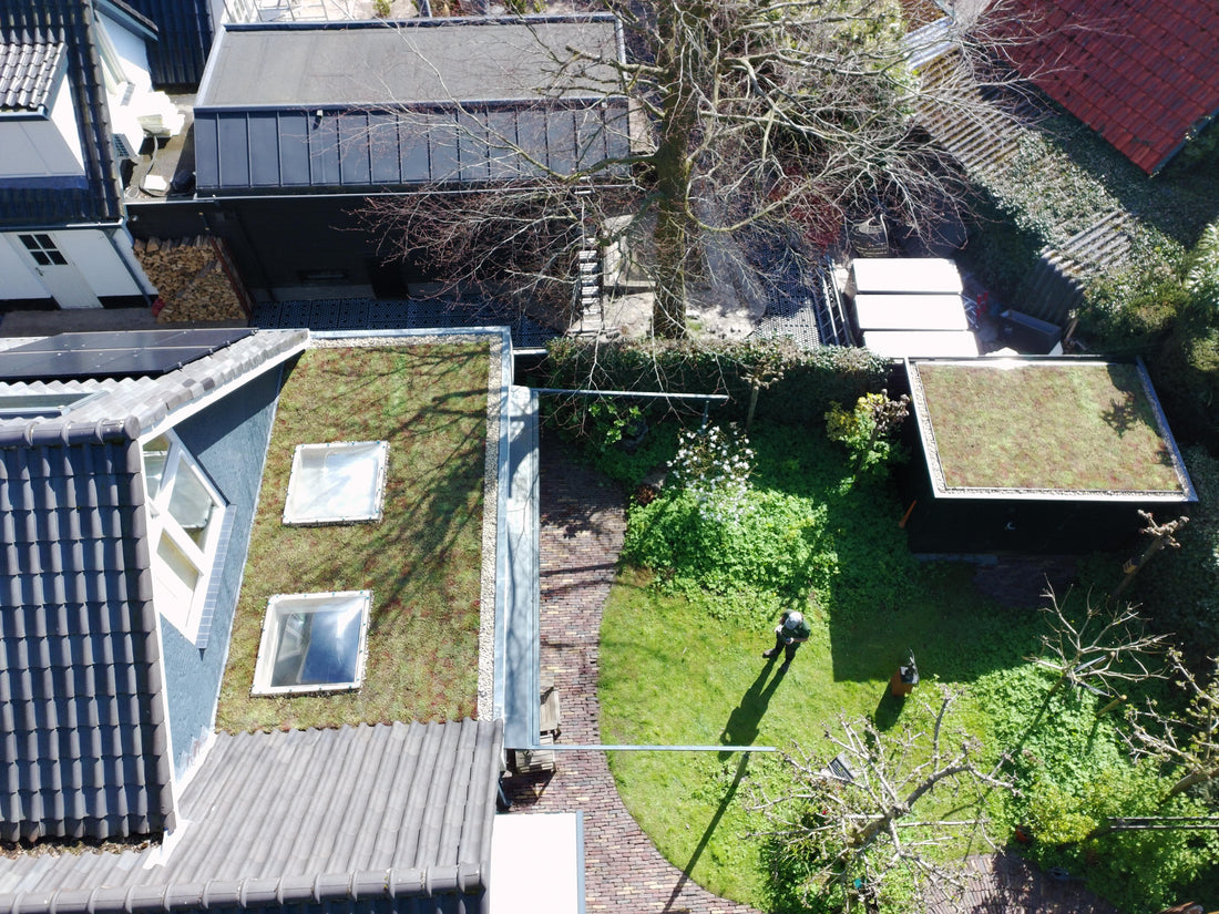 Lichtgewicht groendak op aanbouw & schuurtje - Bergen (28 m²)