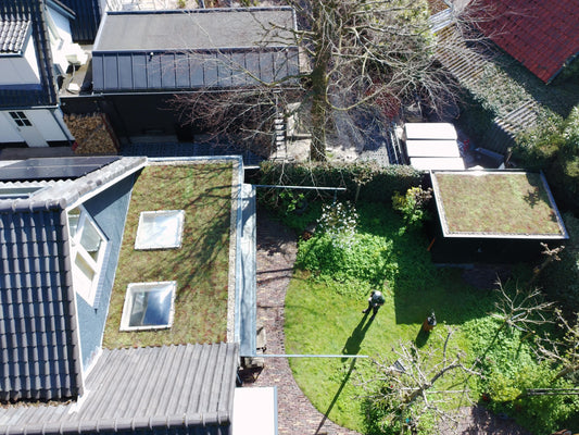 Lichtgewicht groendak op aanbouw & schuurtje - Bergen (28 m²)