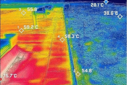 Hoeveel koeler wordt een dak met een groendak? De temperatuur verschillen uitgelegd.