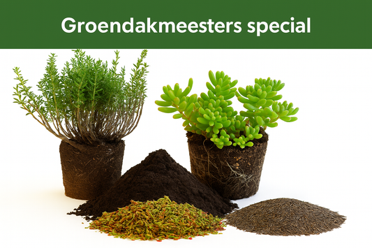 Natuurdak – inheems groendaksysteem met sedum & kruiden – per m²