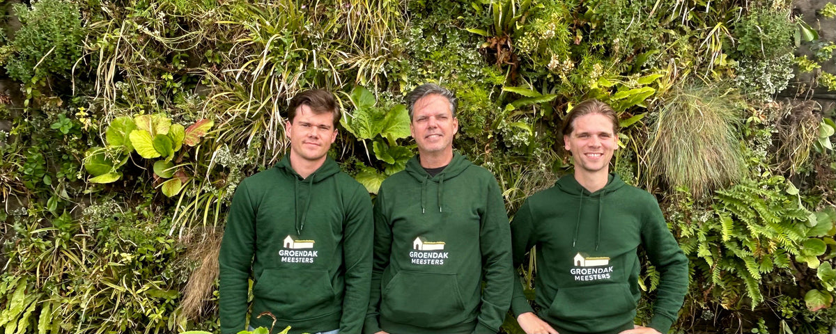 aanlegteam groene daken