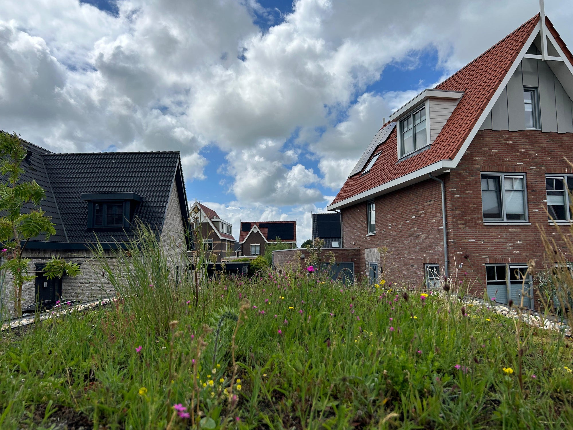 Natuurdak op veranda – Langedijk