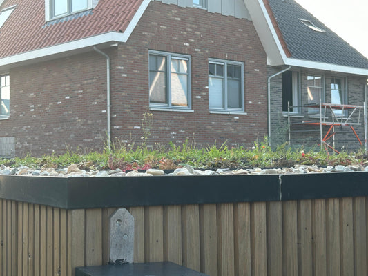 Natuurdak – inheems groendaksysteem met sedum & kruiden – per m²