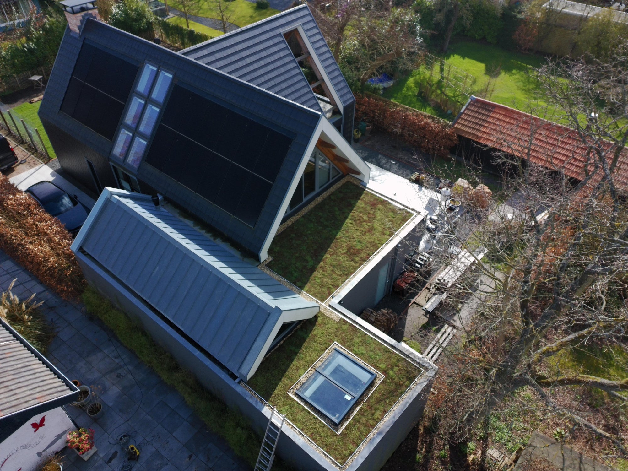 Lichtgewicht groendak op uitbouw - Bergen